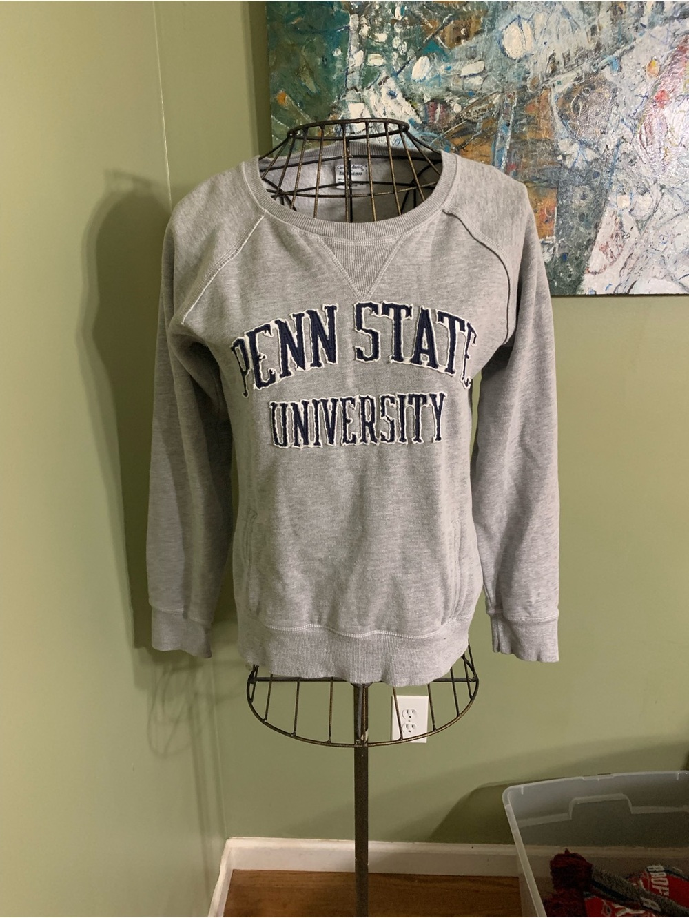 Penn State University sweatshirt in size M.